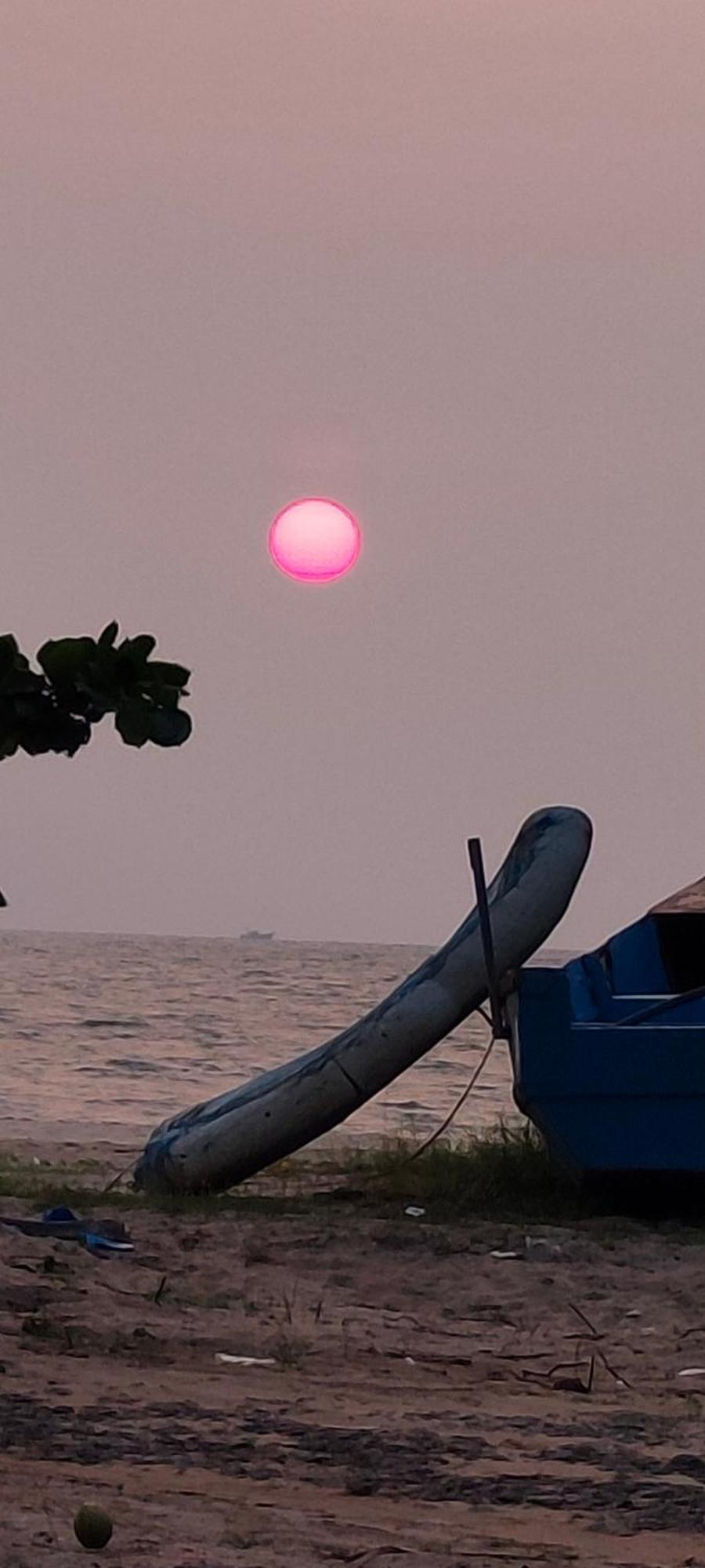 Marari Blue Whale Beach House Alappuzha Eksteriør bilde