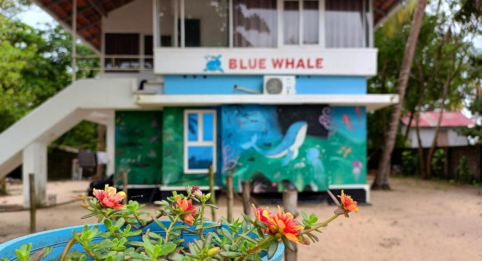 Marari Blue Whale Beach House Alappuzha Eksteriør bilde