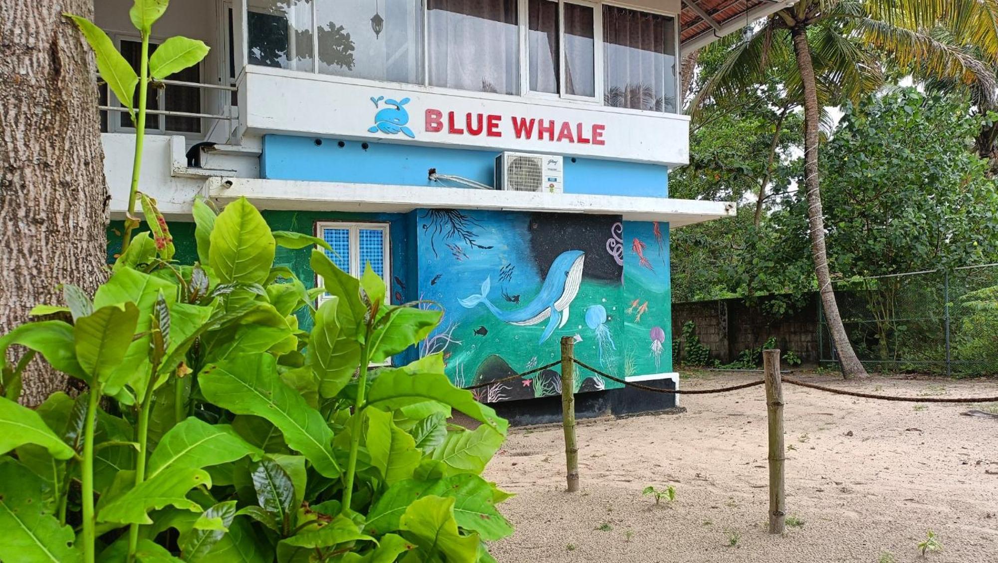 Marari Blue Whale Beach House Alappuzha Eksteriør bilde